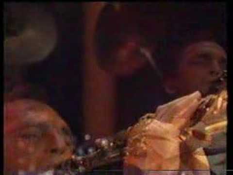 The Black Sorrows - Hold Onto Me [Live - 1989]