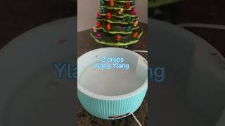 Frosty Vibes Diffuser Blend #essentialoils #diffuser