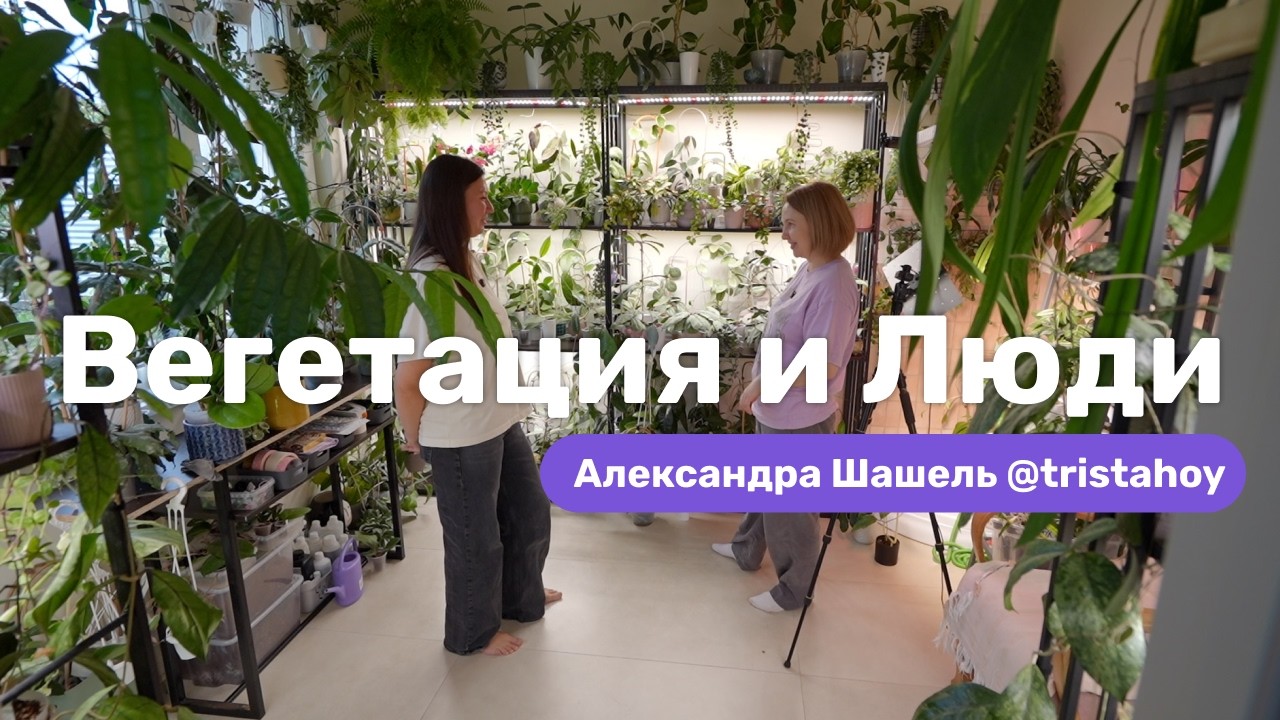 В гостях у Александры Шашель: хойи, хойи, хойи и так триста раз (и ещё чуть-чуть)