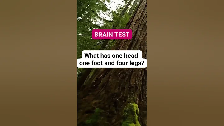 BRAIN TEST   #riddle #brainteaser #puzzle