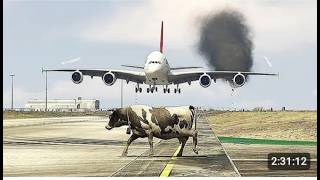 Cow Accidentally Come Runway During Airplane Landing Airport  Gtav