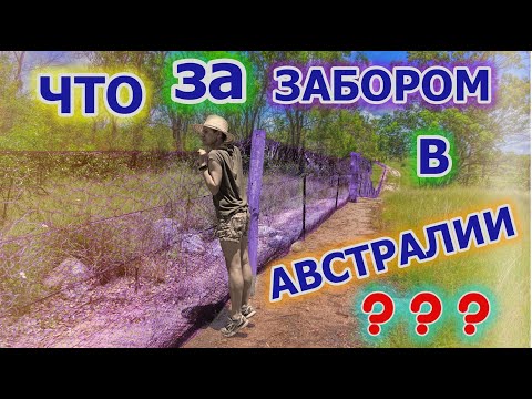 Мы побывали за ЗАБОРОМ в Австралии 🤖👣 ! ТАЙНЫ АВСТРАЛИИ 👽