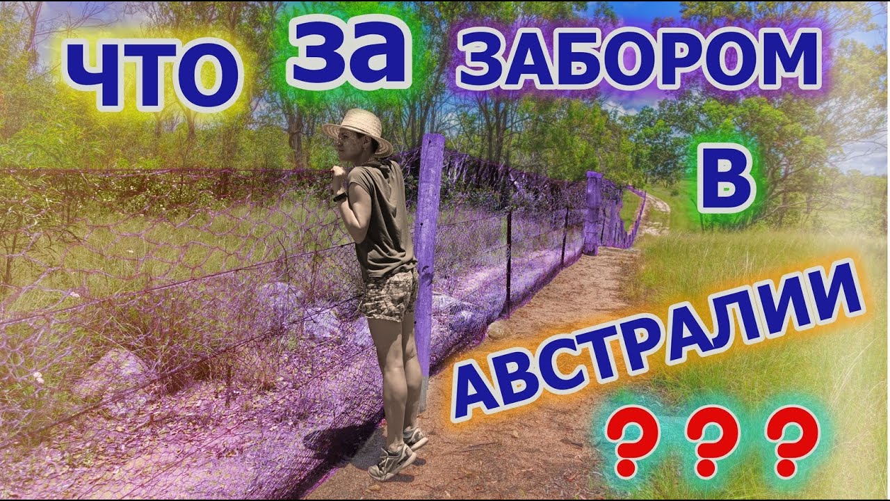 самый большой забор в мире самый большой забор в мире