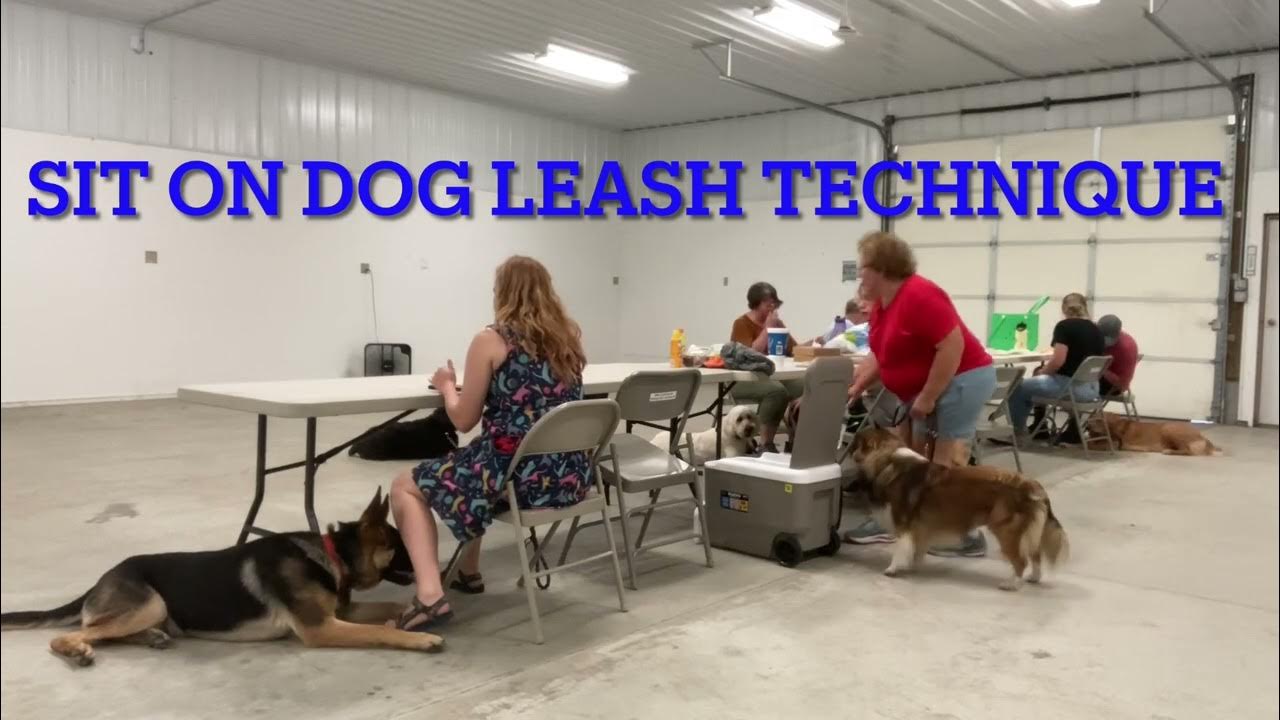 9523 Copeland’s Dog Obedience Class Practicing for Dog Friendly