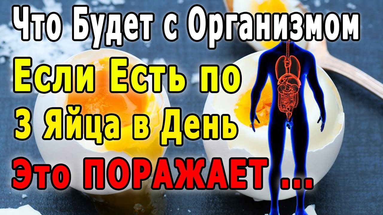 Что будет если есть яйца на ночь. Если есть яйца каждый день что будет с организмом. Что будет если есть 3 яйца. Что будет если есть по 3 яйца в день. Что будет если съедать по 3 яйца в день.