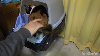 アイリスオオヤマの猫トイレを更に便利にしてみた