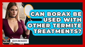 Can Borax Be Used With Other Termite Treatments? - Insects and Invaders
