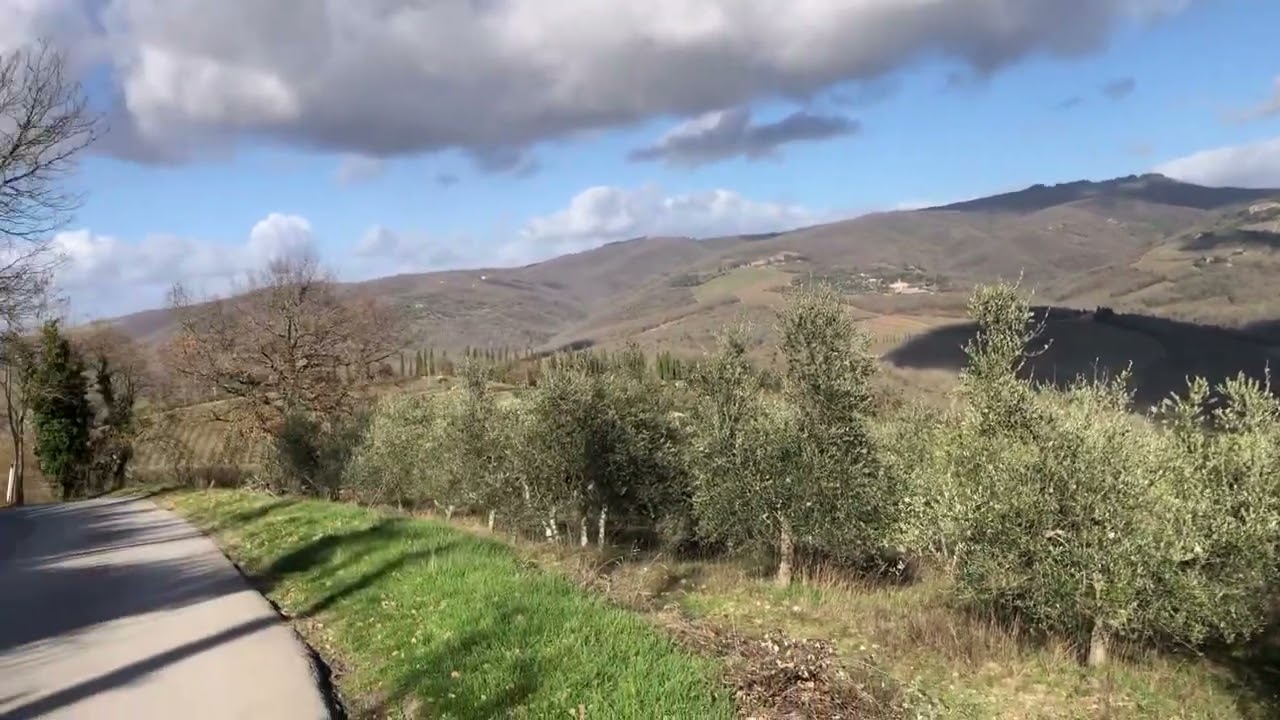 The most outstanding day with the winter sun and puffy white clouds in the blue sky.