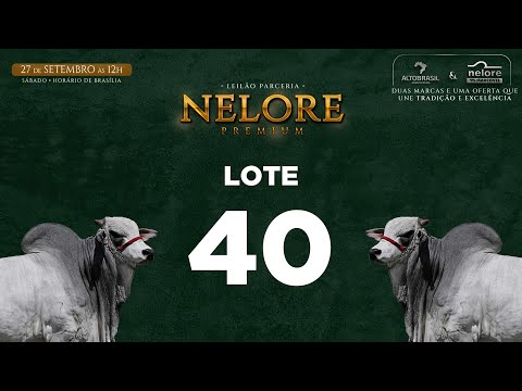 LOTE 40   MVEL 1777