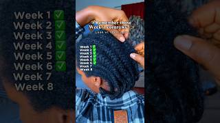 Week 6 in cornrows | Leave your hair alone. #hairgrowthjourney