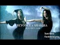 Beyonc  shakira  beautiful liar lyrics