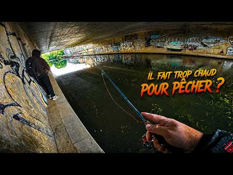 IT'S TOO HOT TO FISH?! I FOUND WHERE THE FISH ARE HIDING! (ZAP)