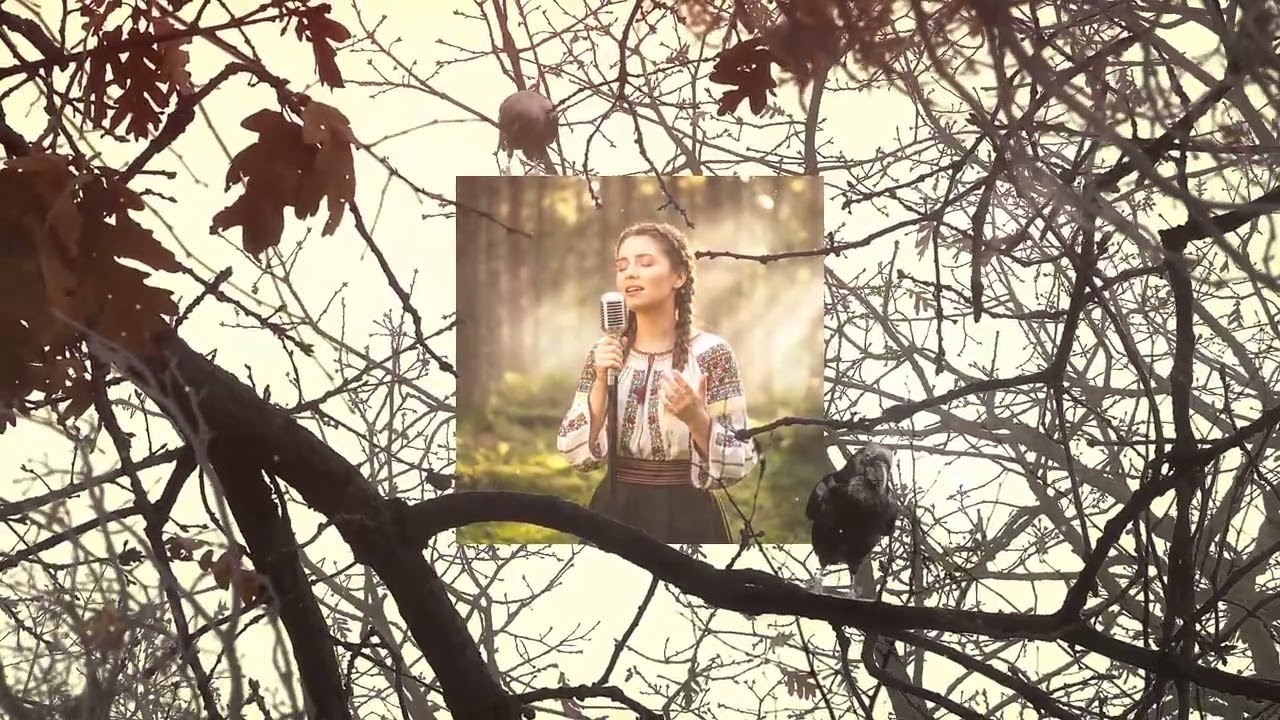 Adalia ✘ iManele - Mândrulița, foaie lată