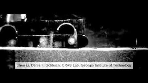 SandBot on Granular Media of Different Compactions