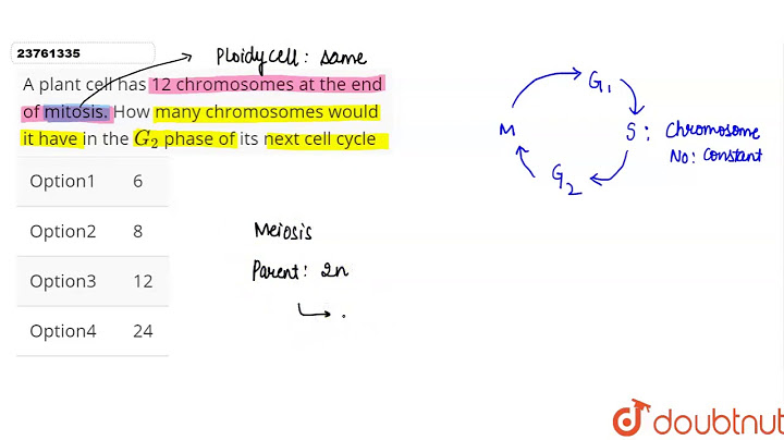 How many chromosomes will each daughter cell have after telophase in mitosis?