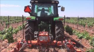 RINIERI VELOX-BE IMPLEMENT