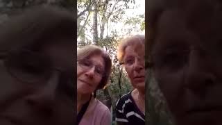 Dos hermanas perdidas en la selva Tucumana , cerro San Javier, bosque