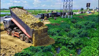 : Wonderful Continue Project!Heavy SHANTUI DH17 Pushing Soil Perfect,Truck 10WheelFill Soil, Huge Lake