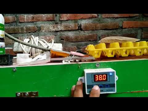 Video: Bagaimana Anda mengkalibrasi termometer Sysco?