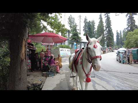 WALKING TOUR NATHIA GALLI | BEAUTY OF GALIYAAT PAKISTAN DAY AND NIGHT