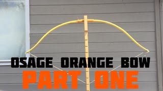 Making an Osage Orange Bow (Part 1 of 4)