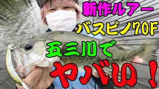 新作ルアーのバスピノ70Fを五三川でなげてみたらまさかの展開に・・・【ジャッカル】【2022年新製品】
