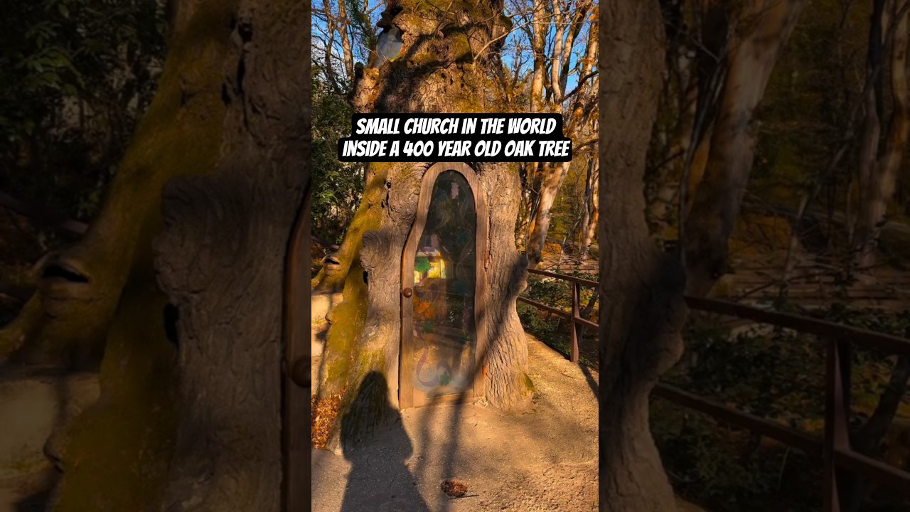 Small church in the world inside a 400 year old oak tree. ☦︎ 🎥:palombella_ontheroad 
