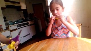 Opening Season Five Twelve Pack