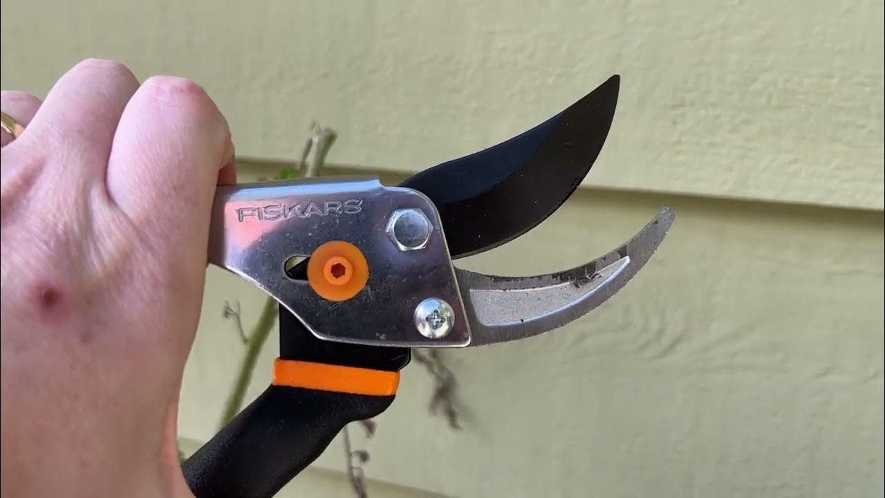 Fiskars Pruning Shears Review and Demo YouTube