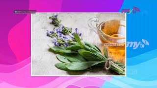 6 bahan pengawet alami pada makanan ...