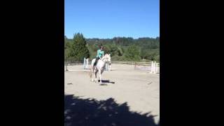Mark west stables with Alina