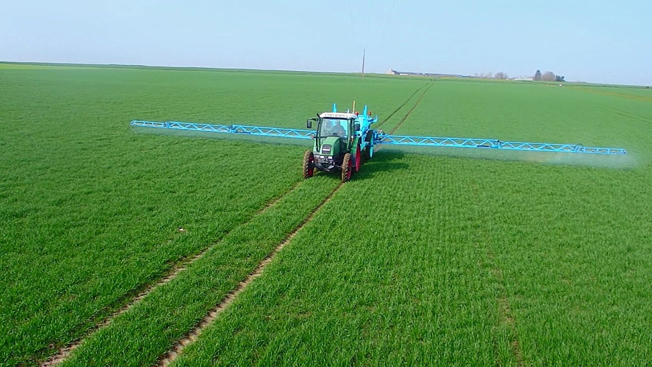 Traitement des blés - Fendt 308 I Berthoud Major