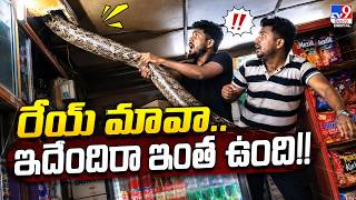 Python found in Meerut shop : రేయ్ మావా.. ఇదేందిరా ఇంత ఉంది!! - TV9