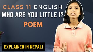 Who are you little I? Class 11 Summary in Nepali || NEB 11 English