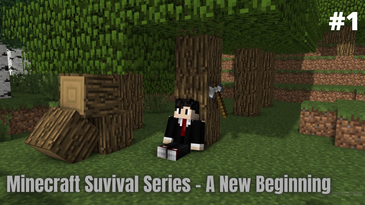A New Journey | Minecraft Survival Series Episode 1 - YouTube