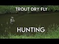 Small River Dry Fly Trout Hunting