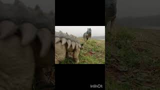 Allosaurus Vs Ankylosaurus Toy Photography #fypviral #dinosaur #jurassicworld #jurassicpark