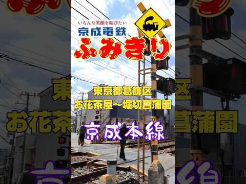 【珍踏切】低すぎる‼️日本一低い警報灯🚨高速警報音⚡️京成本線踏切#踏切 #京成本線 #スカイライナー #警報音 #日本一低い #鉄道 #電車 #Train #Railway #Shorts