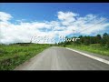 YES~free flower~【GUMI カバー】