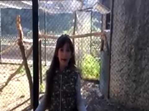 . MTS Company-ის მოსწავლეები ზოოპარკში