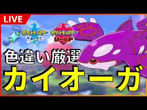 初見様大歓迎】 ダイマックスアドベンチャーで色違いカイオーガ厳選