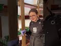 Что делать с эустомой после всходов #цветы