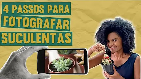 Como tirar boas fotos de plantas?