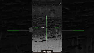 Night time 22LR Thermal hunt! #hunting #outdoors