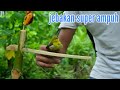 Jebakan burung kecil dari ranting kayu || easy bird trap how to make to bird trap 100% work