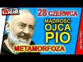 OP230628 Metamorfoza - Mądrość Ojca Pio - codzienne rozmyślanie i modlitwa