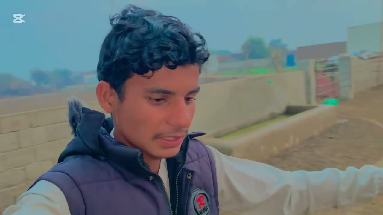 بکری تیار ہو گی ہے ایک دو دن تک سُو پائے گی 