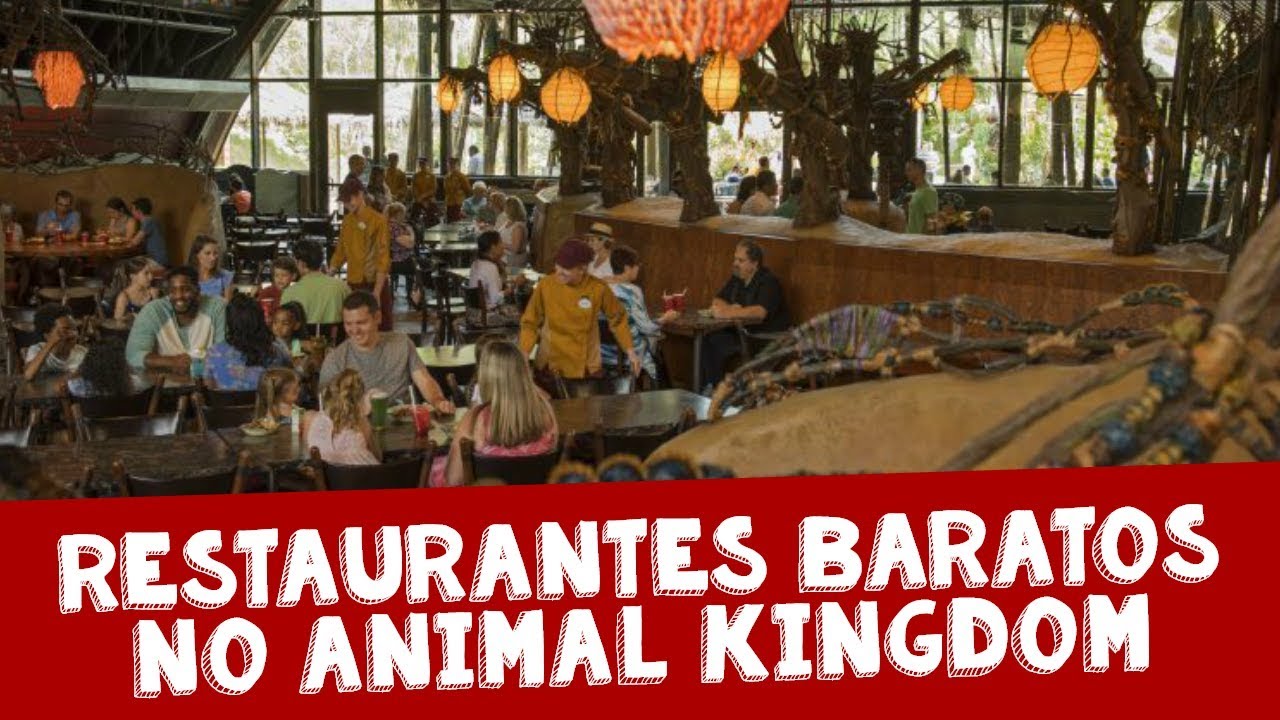 dicas de viagem para o chile Restaurantes baratos para comer no Animal Kingdom