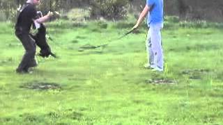 Paco - Staffik Na Obronie D