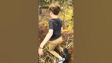 Ragdoll pt 2     #fypage #fypviral #fypyoutube #reverse #video